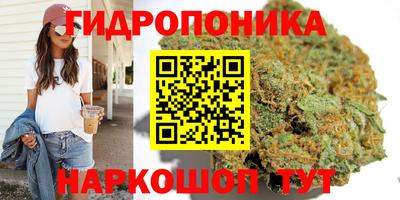 мяу мяу мука Татарск