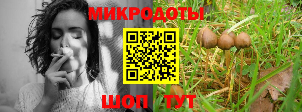 Муром  Галлюциногенные грибы прущие грибы  Вход с VPN 